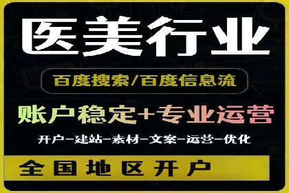 优化搜索流量：SEO技巧的多个成功案例
